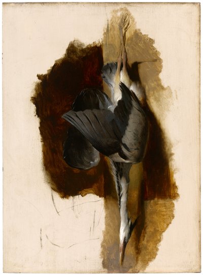 Tutkimus kuolleesta harmaahaikarasta, n. 1832-1833 tekijältä Edwin Landseer