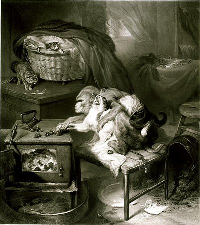 Kissan tassu (kaiverrus) tekijältä Edwin Landseer