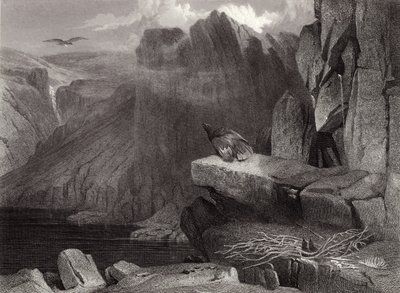 Kotkan pesä tekijältä Edwin Landseer