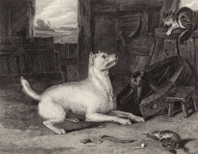 Intruder tekijältä Edwin Landseer