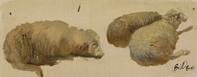 Kolme lammasta levossa (öljy paperille) tekijältä Edwin Landseer