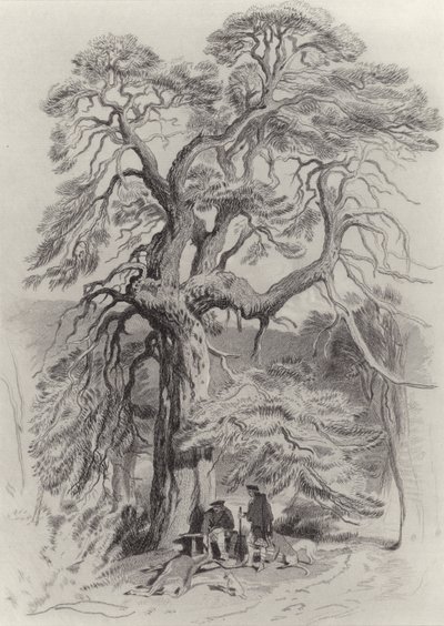 Vanhan kuusen alla tekijältä Edwin Landseer