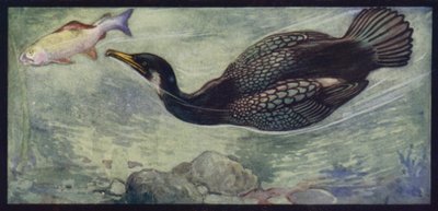 Merimetso ja hänen saalis (väri litho) tekijältä Edwin Noble