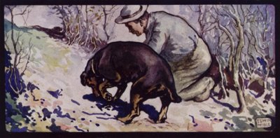 Englantilainen tryffelimetsästyskoira (väri litho) tekijältä Edwin Noble