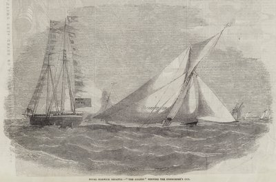 Royal Harwich Regatta, Amazon voitti Commodore