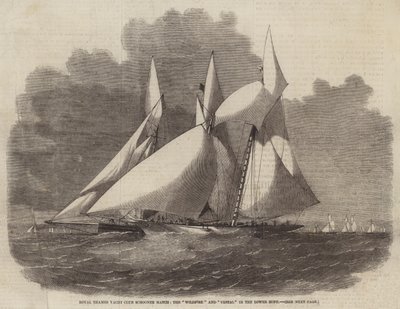 Royal Thames Yacht Club Schooner Match, Wildfire ja Vestal in the Lower Hope tekijältä Edwin Weedon