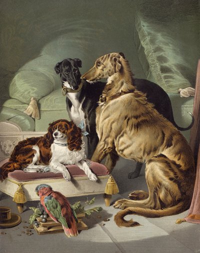 Dash, Hector, Nero ja Lory tekijältä Edwin after Landseer