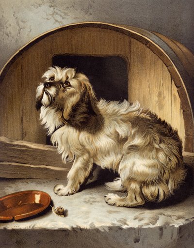 Oma koti kullan kallis tekijältä Edwin after Landseer