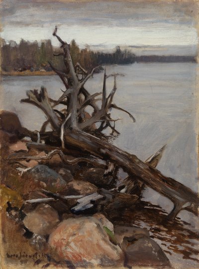 Kuollut mänty vedessä tekijältä Eero Järnefelt