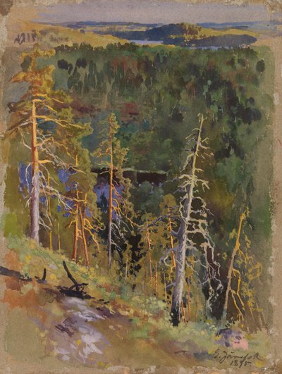 Metsämaisema tekijältä Eero Järnefelt
