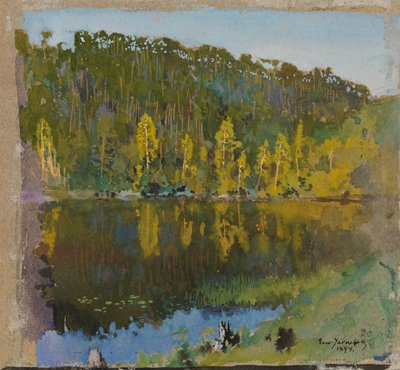 Metsälampi, maisematutkielma tekijältä Eero Järnefelt