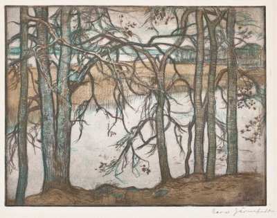  tekijältä Eero Järnefelt
