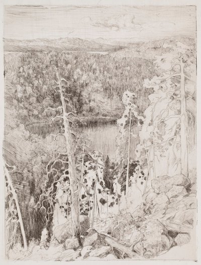 Maisema Kolista; Metsämaisema Räsävaarasta tekijältä Eero Järnefelt