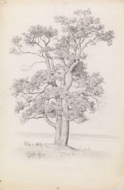  tekijältä Eero Järnefelt