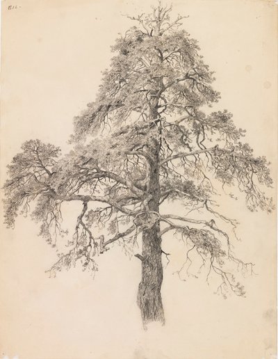 Männynlatva tekijältä Eero Järnefelt
