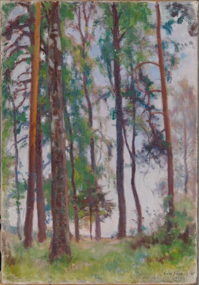 Pines tekijältä Eero Järnefelt