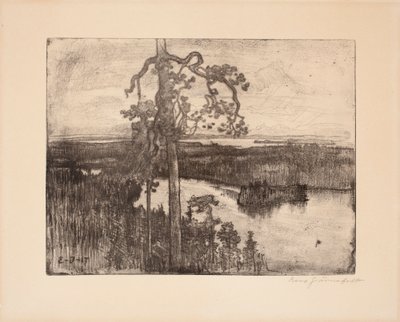 Nimetön tekijältä Eero Järnefelt