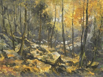 "Felsenmeer" tekijältä Egbert Rubertus Derk Schaap
