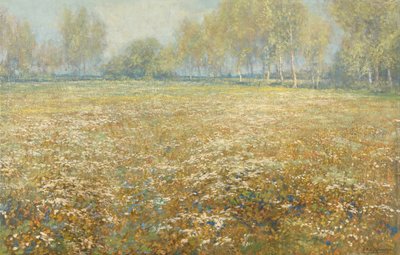 Meadow in Bloom tekijältä Egbert Rubertus Derk Schaap