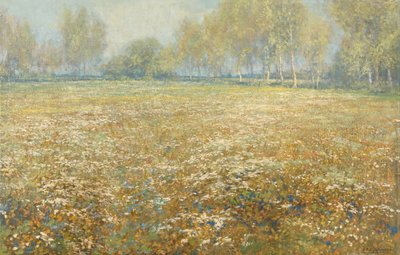 Meadow in Bloom tekijältä Egbert Schaap