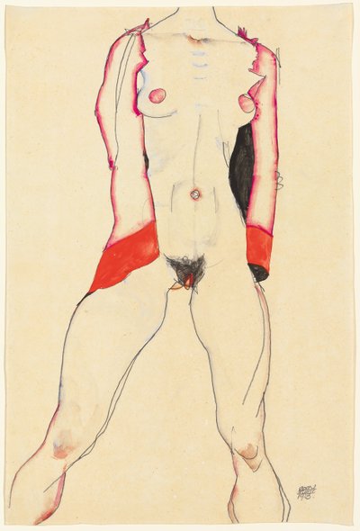 naisten vartalo; Naisen torso, 1913 tekijältä Egon Schiele