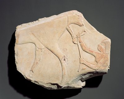 Fragmentti reliefistä, joka kuvaa vasikan syntymää, Asasif, Thebes, kolmas välikausi (n. 1069-664 eKr.) (kalkkikivi) tekijältä Egyptian