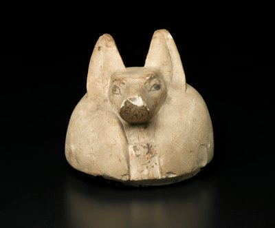 Saakaalipäällinen kansipurkin kansi (kalkkikivi) tekijältä Egyptian