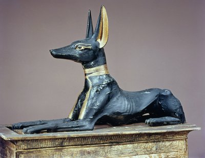 Anubis, egyptiläinen kuolleiden jumala pyhäkön muodossa olevasta arkusta, Tutankhamonin haudasta (n. 1370-52 eKr.) Uusi kuningaskunta (puu) (katso myös 63054) tekijältä Egyptian 18th Dynasty