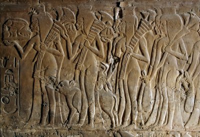 Bas-reliefi Maian, Tutankhamonin imettäjän, haudasta, Saqqara, Egypti, Egyptin sivilisaatio, Uusi valtakunta, XVIII dynastia, Yksityiskohta tekijältä Egyptian 18th Dynasty