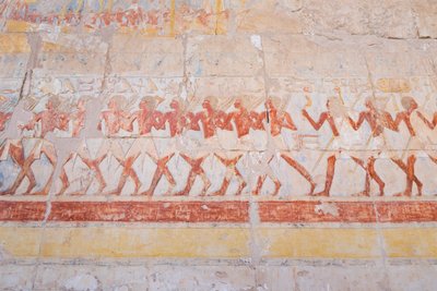 Basreliefikaiverrus Hatshepsutin matkasta Puntin maahan (Somalia), Deir Al Baharin Hatshepsut-temppeli, Luxor, Egypti (kuva) tekijältä Egyptian 18th Dynasty