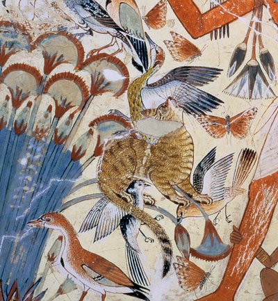Yksityiskohta kissasta, Nebamunista metsästämässä suolla vaimonsa ja tyttärensä kanssa, osa seinämaalausta Nebamunin hautakappelista, Thebes, Uusi kuningaskunta, noin 1350 eaa. tekijältä Egyptian 18th Dynasty