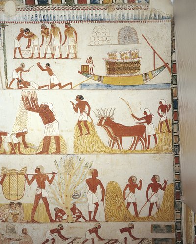 Egypti, Thebes, Luxor, Sheikh 