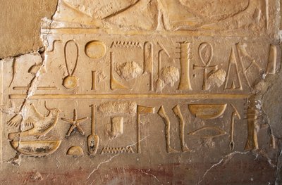 Egyptiläinen antiikki: yksityiskohta kaiverruksesta, jossa patruuna ja hieroglyfit edustavat pitkää ikää ja vaurautta. Kuningatar Hatshepsutille omistettu temppeli (Hatshepsut) (1479 eKr. - 1457 eKr.) Deir el Bahari, Egypti tekijältä Egyptian 18th Dynasty