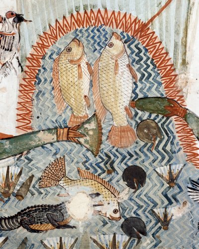 Kala, yksityiskohta metsästys- ja kalastuspaikalta suolla, fresko, pohjoisseinä, pitkittäiskammio, Theban hauta TT69, Sheikh Abd el-Qurna, Thebes (Unescon maailmanperintöluettelo) tekijältä Egyptian 18th Dynasty