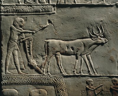 Horemheb kyntää maata Iarun pelloilla. Reliefi Horemhebin haudasta Saqkarassa, yksityiskohta. tekijältä Egyptian 18th Dynasty