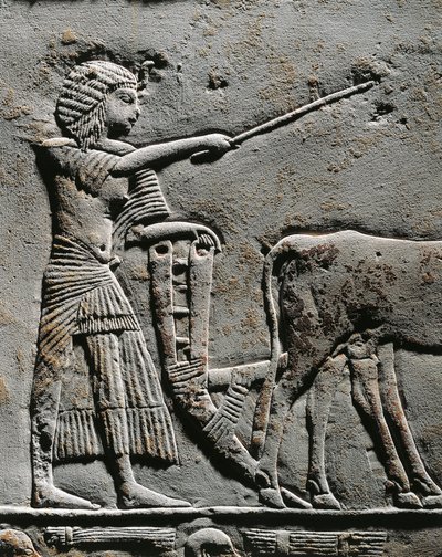 Horemheb kyntämässä maata Iarun pelloilla, reliefi Horemhebin haudasta Saqqarassa, yksityiskohtia tekijältä Egyptian 18th Dynasty