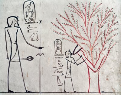 Isis metamorfoi tuthmosis III:ta (n. 1479-1425 eKr.) imeväksi sykomoripuuksi (seinämaalaus) tekijältä Egyptian 18th Dynasty