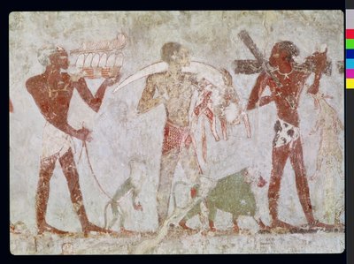 Kushitit, jotka kantavat kunnianosoituksia kullasta, norsunluusta ja eläinten nahasta, Rekhmiren haudasta, Tuthmosis III:n ja Amenhotep II:n visiiri, Uusi kuningaskunta (seinämaalaus) tekijältä Egyptian 18th Dynasty