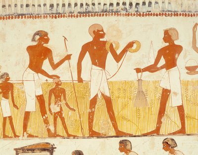 Maan mittaaminen köydellä, Mennan hautakappelista, Uudesta kuningaskunnasta (seinämaalaus) (katso myös 251666) tekijältä Egyptian 18th Dynasty