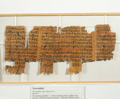 Papyrukselle kirjoitettu lääkemääräys tekijältä Egyptian 18th Dynasty