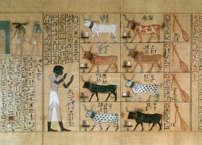 Papyrus, joka kuvaa härkiä, Maiherperin kuolleiden kirjasta. tekijältä Egyptian 18th Dynasty
