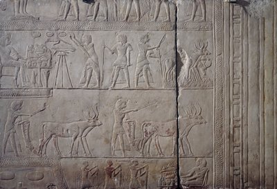 Faarao Horemheb, kuvattu tekemässä maataloustöitä Iarun pelloilla, vastaanottaen maanviljelijöiden tarjoamaa satoa, kalkkikivinen seinäreliefi, Horemhebin Memfiittihaudasta Saqqarassa, Egyptin sivilisaatio, Uusi valtakunta, XVIII dynastia tekijältä Egyptian 18th Dynasty