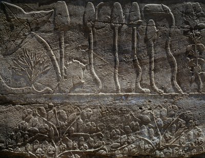 Thutmose III:n Syyrian retkikunnasta vuonna 1465 eKr. tuodut kasvit, reliefin yksityiskohta, ns. kasvitieteellisen puutarhan sali, Amunin temppeli, Karnakin temppelikompleksi, Egyptin sivilisaatio, Uusi valtakunta, XVIII dynastia tekijältä Egyptian 18th Dynasty
