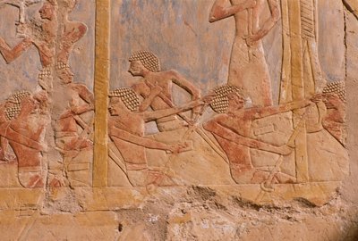 Reliefi miehistä soutamassa veneessä, jumalatar Hathorin kunniaksi koristeltu seinä, yksityiskohta, Hatshepsutin ruumistemppelistä (n. 1503-1482 eKr.) Uusi kuningaskunta (maalattu kalkkikivi) tekijältä Egyptian 18th Dynasty