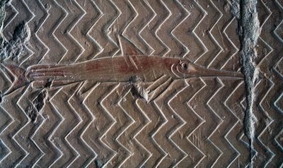 Kalojen esitys, Puntin kuningaskunnan kohtaukset, keskuspylväikön eteläseinä, Hatshepsutin ruumistemppeli, Deir el-Bahari, Luxor, Thebes (Unescon maailmanperintöluettelo) tekijältä Egyptian 18th Dynasty