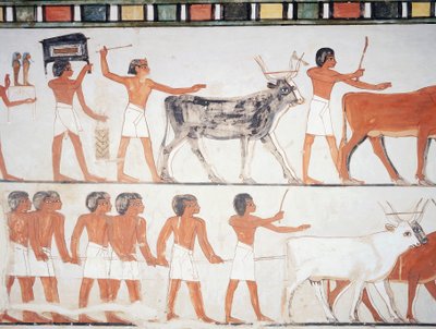 Paimenet ja karja, fresko, eteläseinä, pitkittäiskammio, Theban Tomb TT69, Sheikh Abd el-Qurna, Thebes (Unescon maailmanperintöluettelo) tekijältä Egyptian 18th Dynasty