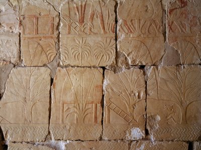 Kasvillisuus, yksityiskohta kohtauksesta, joka kuvaa retkeä Puntin maahan, maalattu reliefi, Puntin pylväikkö, Hatsepsutin hautajaistemppeli, Deir el-Bahari, Thebanin nekropoli (Unescon maailmanperintöluettelo). tekijältä Egyptian 18th Dynasty