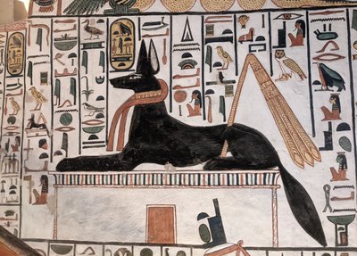 Anubis Tomb Nefertari (seinämaalaus) tekijältä Egyptian 19th Dynasty