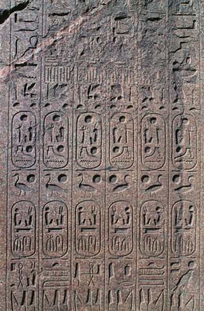 Kortteli reliefeillä ja kirjoituksilla, Amunin suuri temppeli, Tanis, Egypti, Uusi kuningaskunta, Dynastia XIX tekijältä Egyptian 19th Dynasty