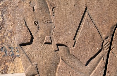 Lohko, jossa on reliefit ja Ramses II:n kirjoitukset, Amunin suuri temppeli, Tanis, Egypti, Egyptin sivilisaatio, Uusi valtakunta, XIX dynastia. tekijältä Egyptian 19th Dynasty